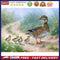 Bushes Animals Oil Paint By Numbers Kit DIY Acrylic Painting on Canvas Drawin