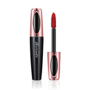 Fast Drying Professional False Eyelash Glue Fast Drying Cosmetics Tool for Wo