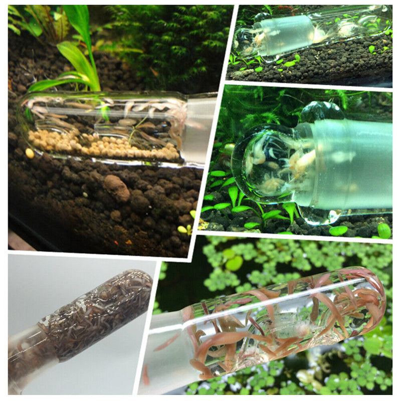 Crystal Glass Aquarium Planarian Worm Aquatic Cleaner Flatworm Plague Catch Trap