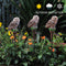 LED Solar Lights Owl Lawn Stakes Lamp Yard Art Home Garden Decor (Brown) Newly