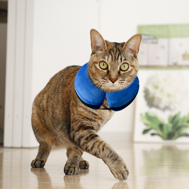 #A Inflatable Cat E-collar Anti-bite Dog Neck Cone Recovery Anti Lick Surgery