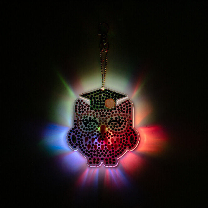Cartoon Diamond Painting Keychain DIY Luminous Key Ring Pendant (DSK044)