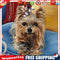 5D DIY Diamond Painting Dog Cross Stitch Embroidery Wall Art Needlework Kit