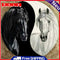 Full Drill 5D DIY Diamond Painting Horse Embroidery Cross Stitch Home Art Decor