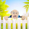 Garden Illustration Fence Decoration Wood Old Man/Lady Yard Art Sign (A) Newly