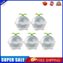 5x Round Ball Ice Cube Mold DIY Whiskey Ice Maker Kitchen Gadget (Green)