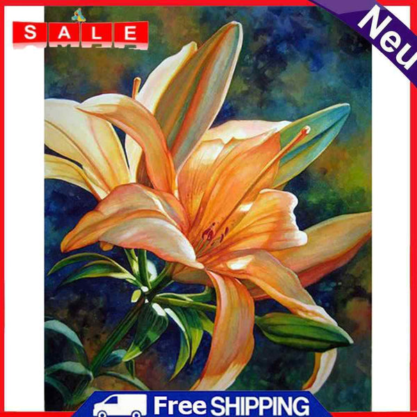 Special Flower 40x50cm Oil Paint By Numbers Picture DIY Painting