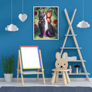Butterfly Girl and Cat Oil Paint By Numbers DIY Home Decoration Gift Unframed