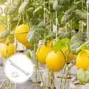 Tomato J Hook & Trellis Clips Set Plant Support Garden Tools Makes Plants Health