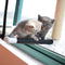 Double Layer Cat Sucker Hammock Comfortable Shelf Seat House for Window Supplies