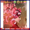 Canvas Paint By Numbers DIY Hand Painted Oil Flower Head Girl Drawing Kit C