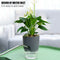 Watering Planter Self Watering Flower Pot Water Storage Basin (15.3cm) Newly