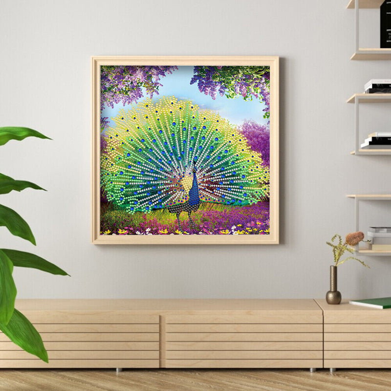 Part Special Shaped Drill Diamond Painting Peacock Mosaic Picture Art Craft