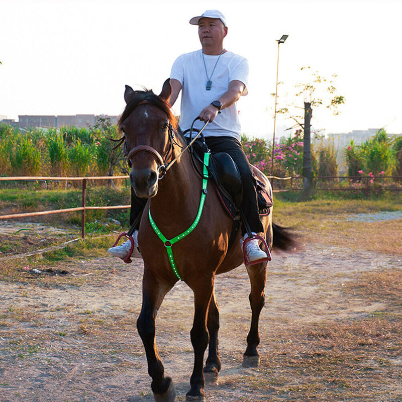 Adjustable LED Light Harness Chest Belt Lights Night Safe Horse Riding Equipm