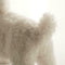 Realistic White Teddy Dog Simulation Dog Puppy Lifelike H9V0 Handmade W9Y9 E6B4