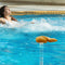 Poop Swimming Pool Floating Thermometer Hot Tub Water Temperature Tester