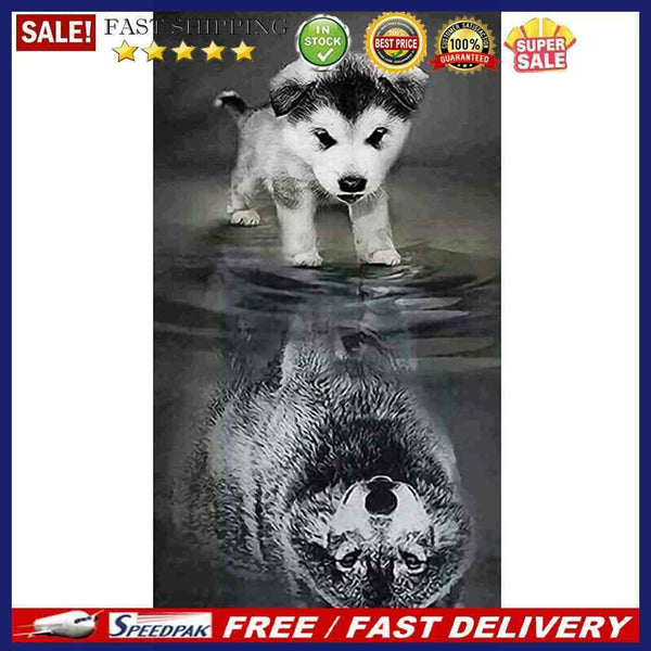 Dog Reflection Wolf Oil Paint By Numbers Kits DIY Handpainted on Canvas Wal