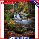 Handpainted DIY Forest Scenery Oil Paint by Numbers Kit Pictures Draw Craft Gift