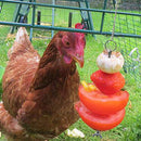 Pet Stainless Steel Feeder Fruit Fork Vegetable Holder Hanging Feeding (M)