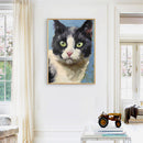 Oil Paint Cat By Numbers Coloring Picture Digital Drawing