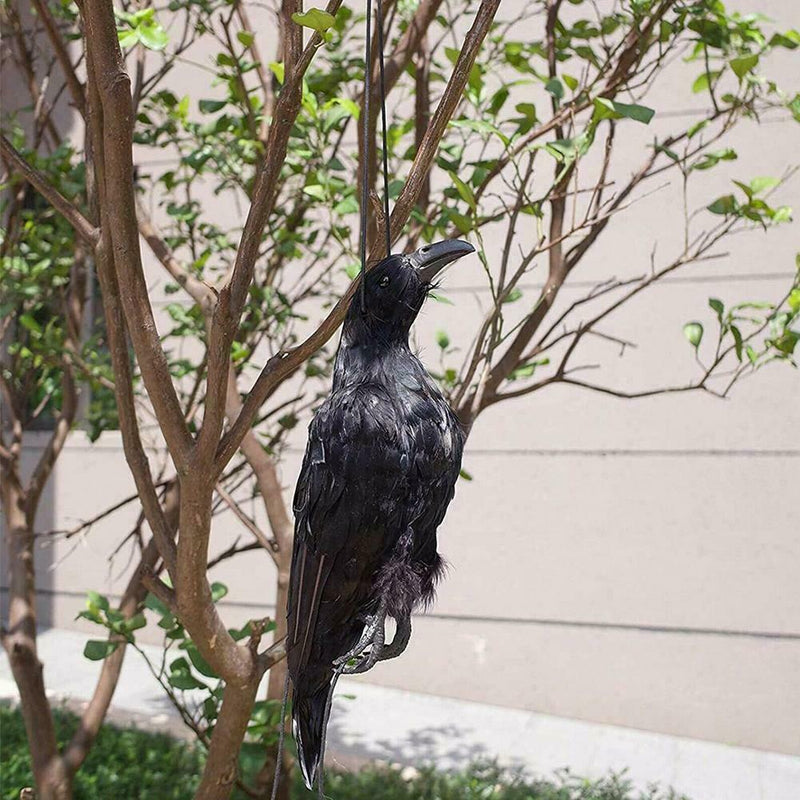 Realistic Hanging Dead Crow Decoy Lifesize Extra Large Feathered Black Cro best