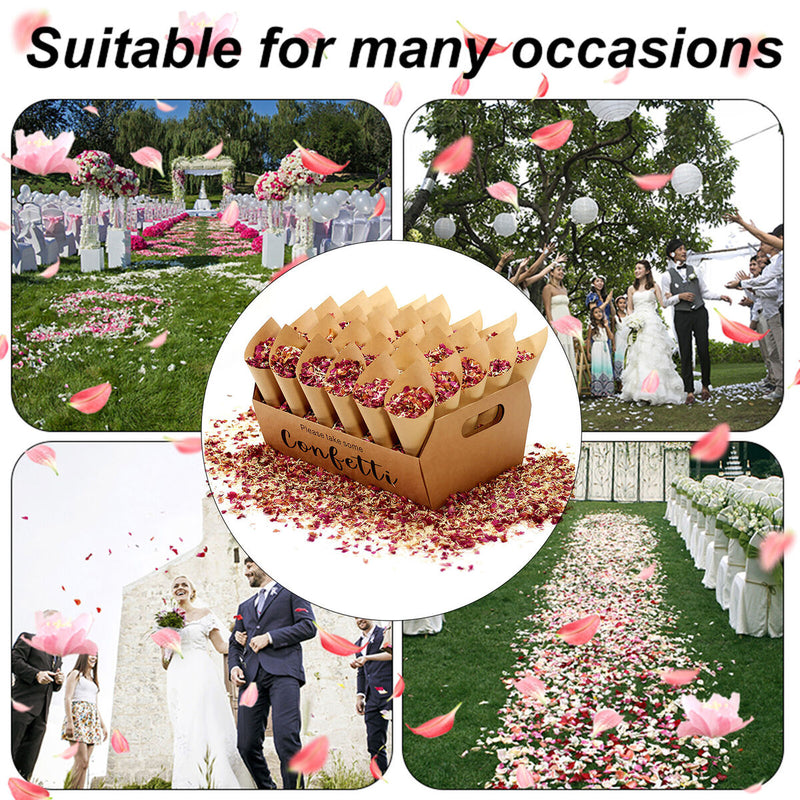 Confetti Cone Holder Box - Stand Tray Box Total of 30 Holes for 30 Confetti