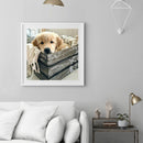 Oil Paint By Numbers Small Animal Frameless Picture Craft Kit for Living Room