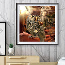 Frameless Owl in Cat Oil Paint By Numbers DIY Handmade Drawing On Canvas Kit