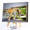 Tiger Oil Paint By Numbers Kit DIY Acrylic Painting on Canvas Drawing Picture