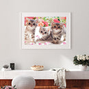 5D DIY Diamond Painting Full Drill Flower Kittens Embroidery Animal Mosaic