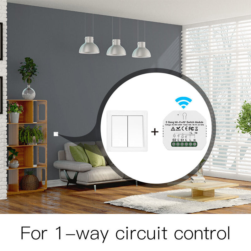 Lighting Switch Relay Module 2 Gang Intelligent Switch Module Voice Control