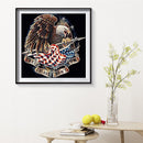 Eagle and Flag Frameless Oil Paint by Numbers Kit DIY on Canvas Picture Art