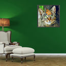5D DIY Diamond Painting Kits Cat Full Round Drill Animal Decor Wall Crafts