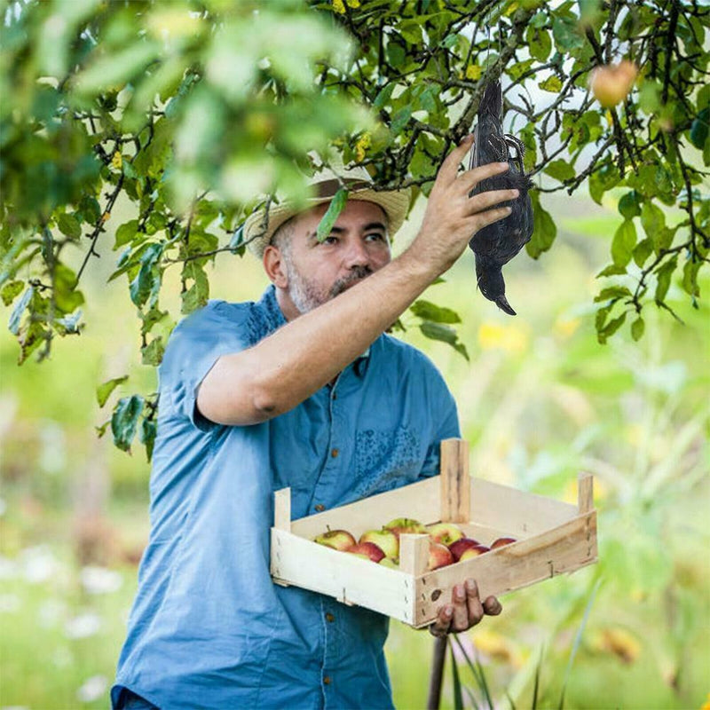 Realistic Hanging Dead Crow Decoy Lifesize Extra Large Feathered Black Cro best