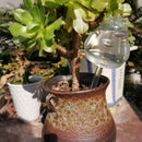 Drip Irrigation System Auto Watering Spike Plants Flower Waterer Bottle (D)