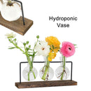 Office Ornaments Flower Arrangement Hydroponic Vase Plant Flower Pot Glass Vase