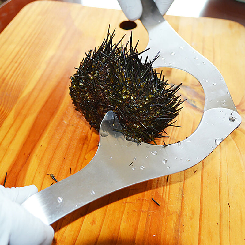 Stainless Steel Sea Urchin Scissors - Multipurpose Ultra Sharp Utility Tool