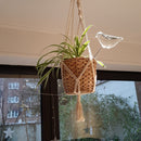 Bird Transparent Automatic Flower Waterrer Bulb Home Garden Plant Drip Irrigation