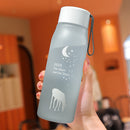 500ml Sports Water Bottle Gradient Frosted Portable Drinking Cup (Grey) Newly