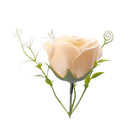Preserved Single Rose Soap Flower Gift Box Valentines Day Gifts (Champagne)