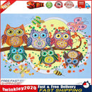 Diamond Painted 5D DIY Cartoon owl Partial Special Rhinestone Set Newly