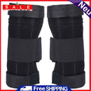 SEIKO GS Grand Seiko STGF025 cadran argent quartz inox 4J52-0A10 femme