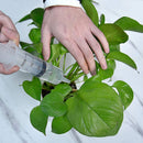 60ml Reusable Plastic Syringe Liquid Nutrient Feeding Injector for Animal Lab