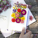 Dried Flower Material Package Real Pressed Dry Plants & Butterfly Stickers