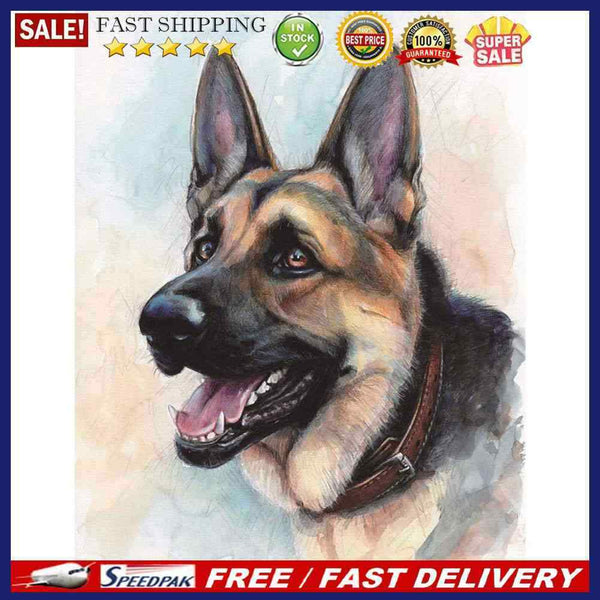 Dog Oil Paint By Numbers Kits DIY Handpainted on Canvas Wall Picture Unfram