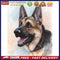 Dog Oil Paint By Numbers Kits DIY Handpainted on Canvas Wall Picture Unfram