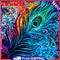 5D DIY Full Drill Diamond Painting Color Feather Cross Stitch Embroidery Kits Ho