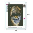 5D DIY Full Drill Diamond Painting Eye Cross Stitch Kit Home Decor (V387)