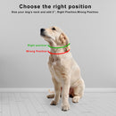 Traction Rope Dog Prong Collar Dog Leash Training Collar Pet Training Tool