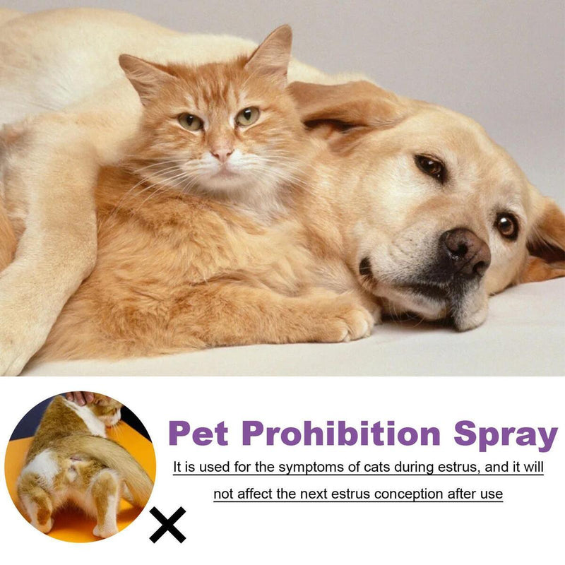 Calming Spray For Cats Reduce Your Pets Anxiety Aggression Pheromone F6E0